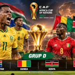 Jadwal Pertandingan Grup D Kualifikasi Piala Afrika 2027 Afrika Selatan